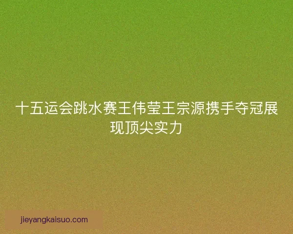 十五运会跳水赛王伟莹王宗源携手夺冠展现顶尖实力