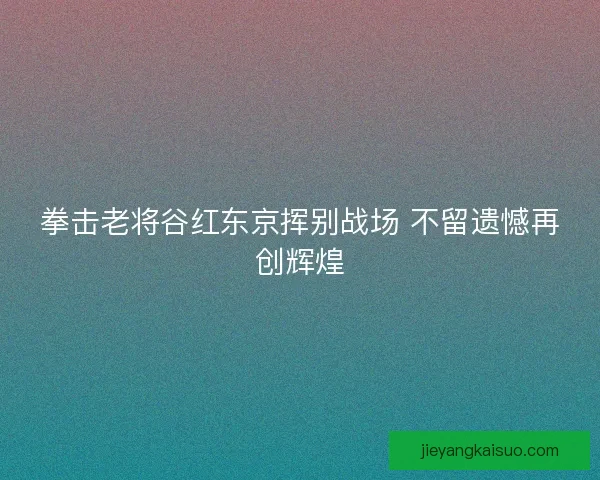拳击老将谷红东京挥别战场 不留遗憾再创辉煌