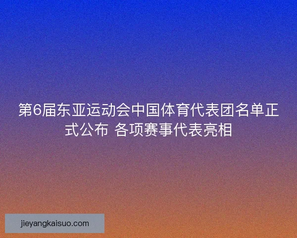 第6届东亚运动会中国体育代表团名单正式公布 各项赛事代表亮相