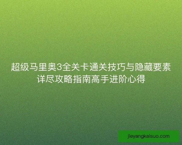 超级马里奥3全关卡通关技巧与隐藏要素详尽攻略指南高手进阶心得